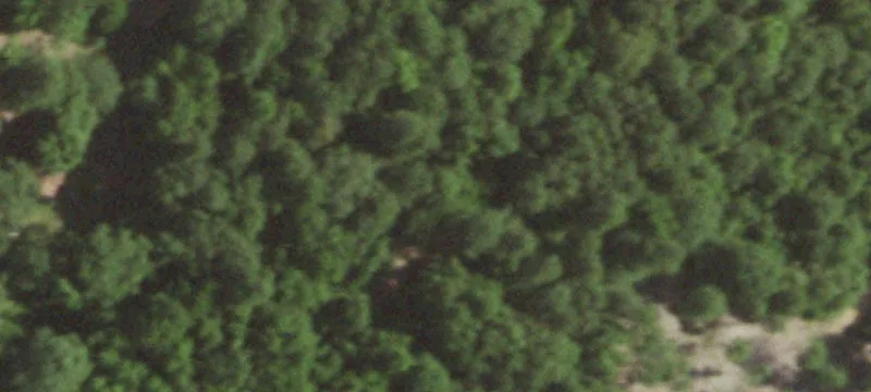 13238 Upshur County Lndg Rdsid