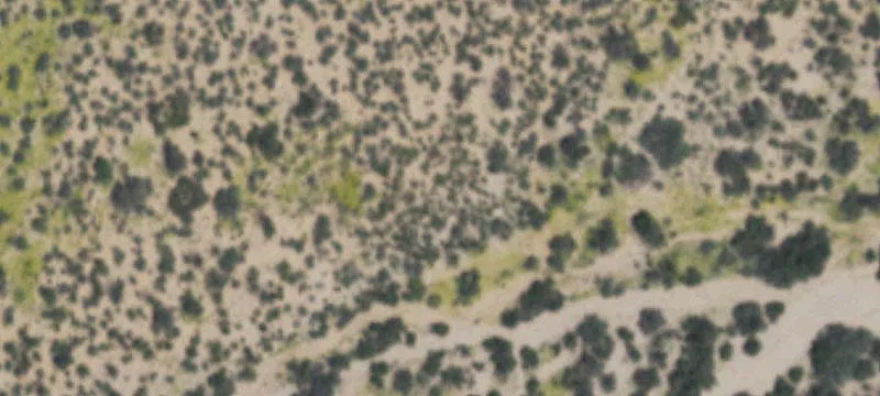 Marfa, TX 79843