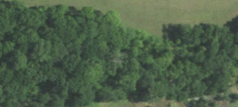 Premier Dr
