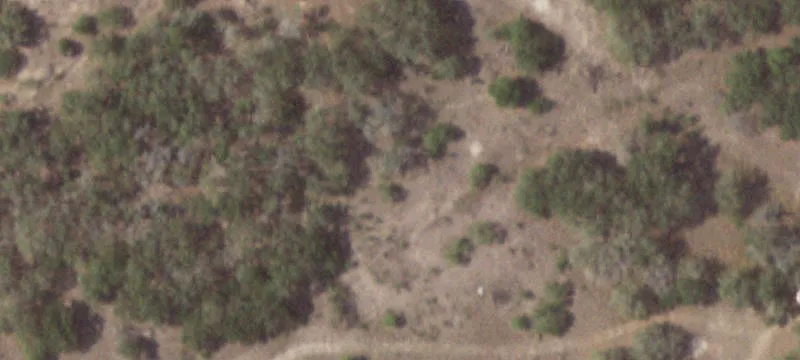 Goliad, TX 77963