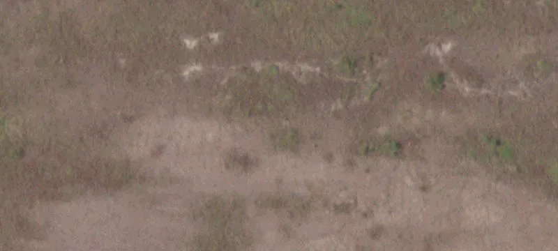 Goliad, TX 77963