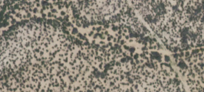 Marfa, TX 79843