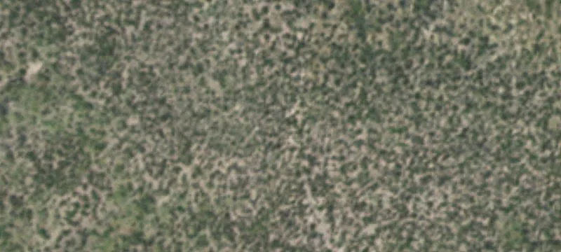 Marfa, TX 79843