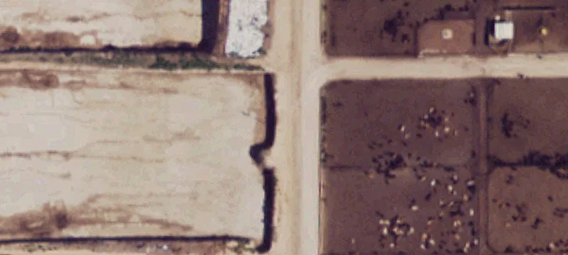 Muleshoe, TX 79347