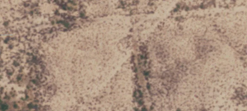 Mentone, TX 79754