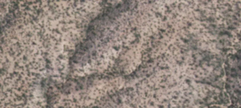 Marfa, TX 79843