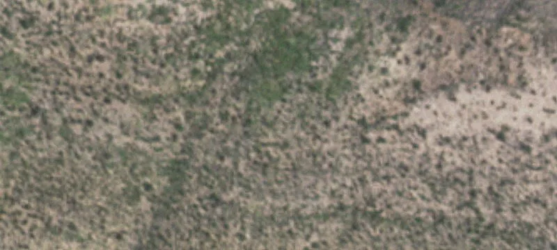 Marfa, TX 79843