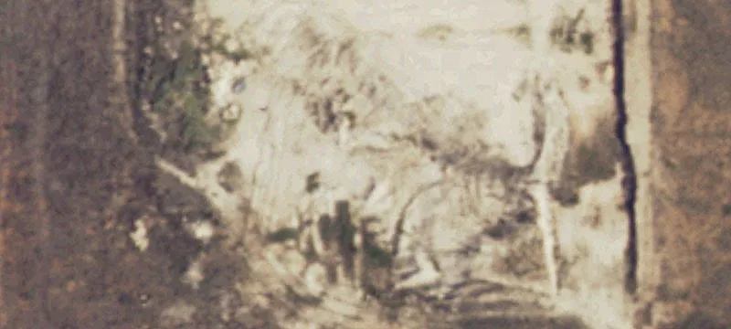 Plains, TX 79355