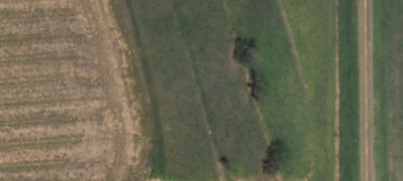 Lockney, TX 79241
