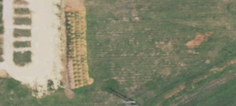 Seymour, TX 76380