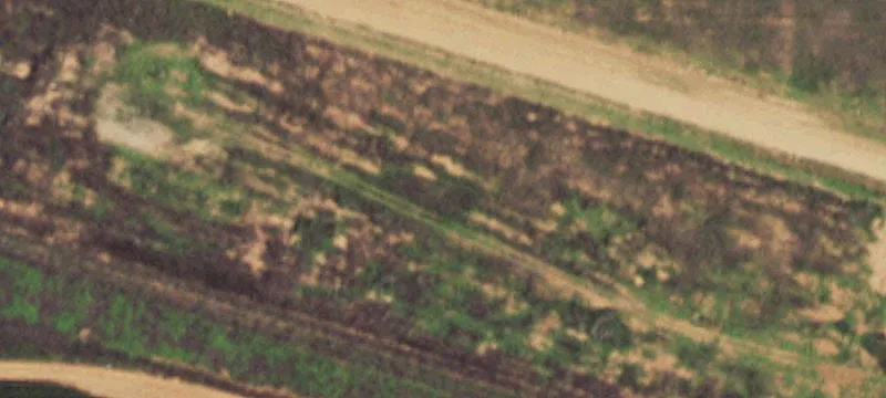 Whiteface, TX 79379