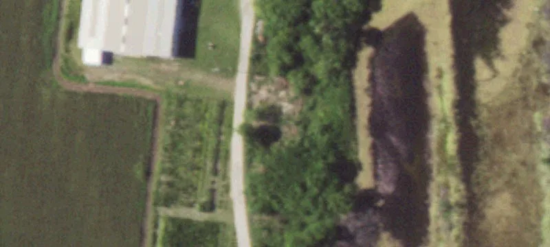 31419 Henderson Rd