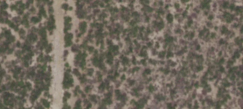 Tilden, TX 78072