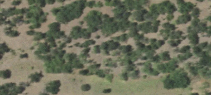 Gordon, TX 76453