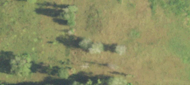 Kirbyville, TX 75956