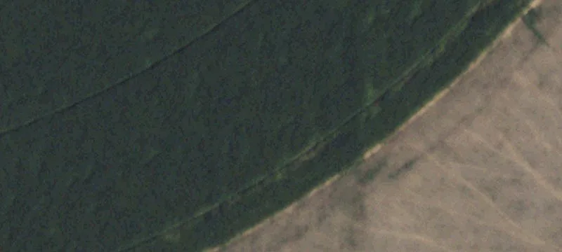 Gruver, TX 79040