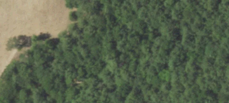 1807 An County Road 151