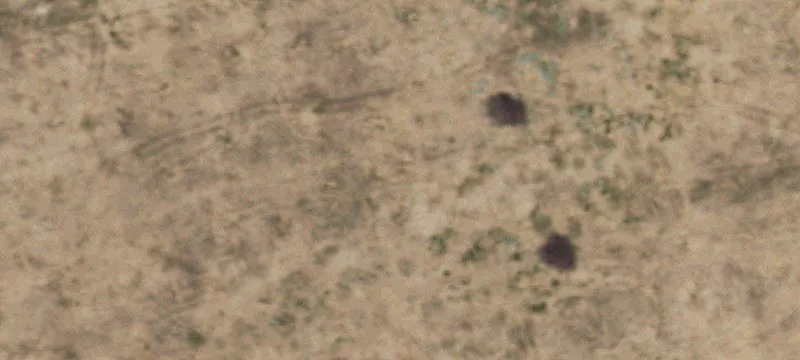 Stanton, TX 79782