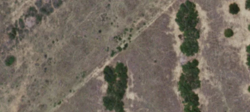 Hebbronville, TX 78361