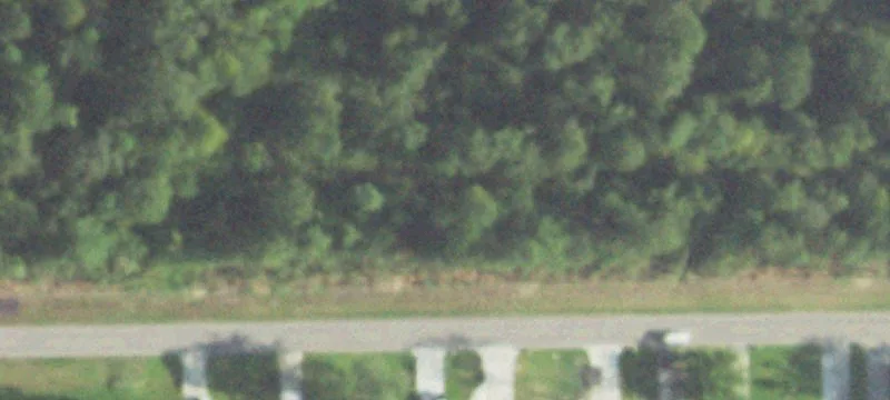 Foley Rd
