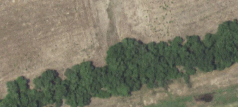Goliad, TX 77963