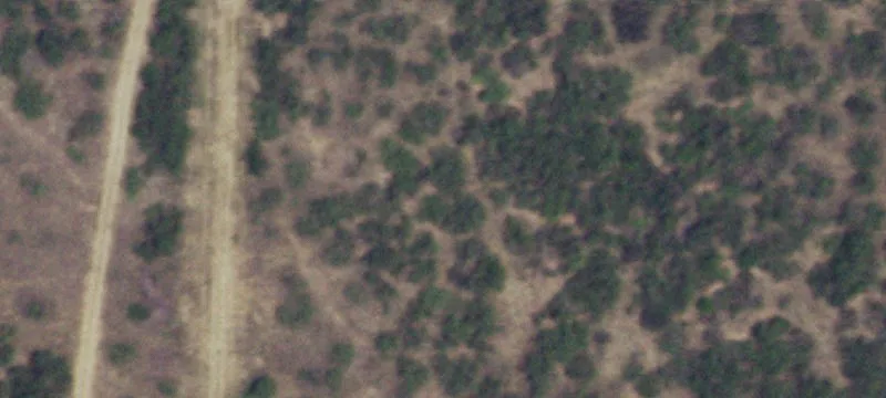 Hebbronville, TX 78361
