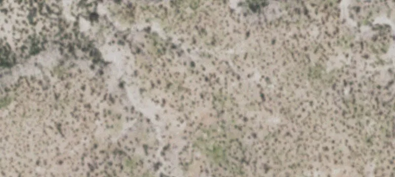 Marfa, TX 79843