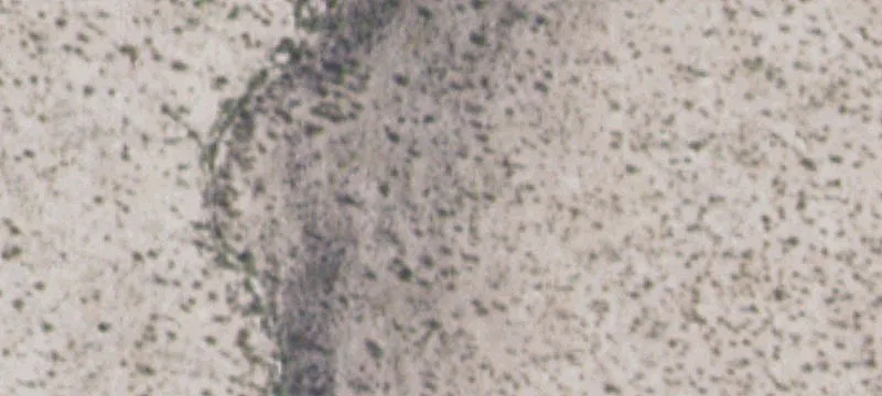 Marfa, TX 79843