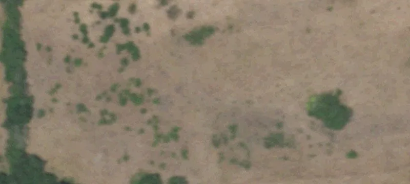 5762 Fm 318