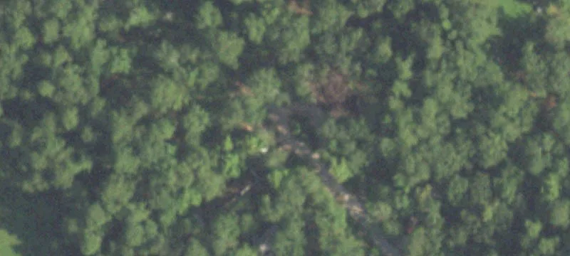 42894 Us Hwy 96