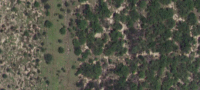 Cotulla, TX 78014