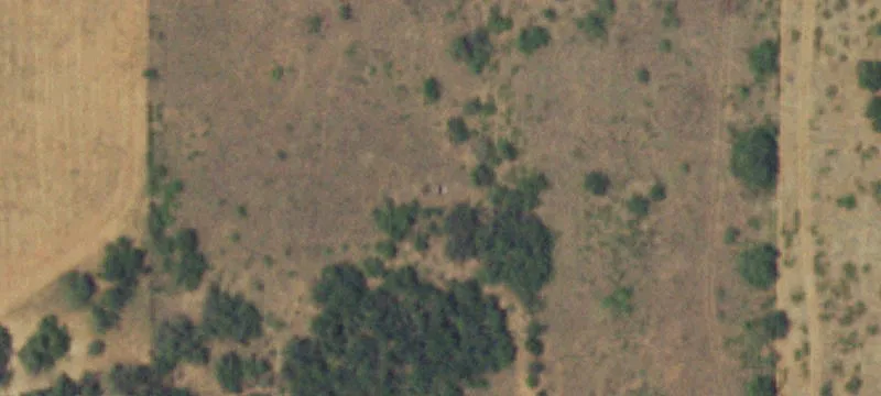 San Isidro, TX 78588