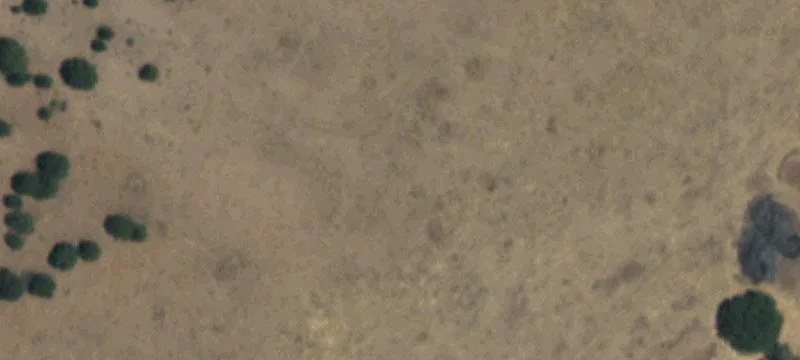 Valentine, TX 79854