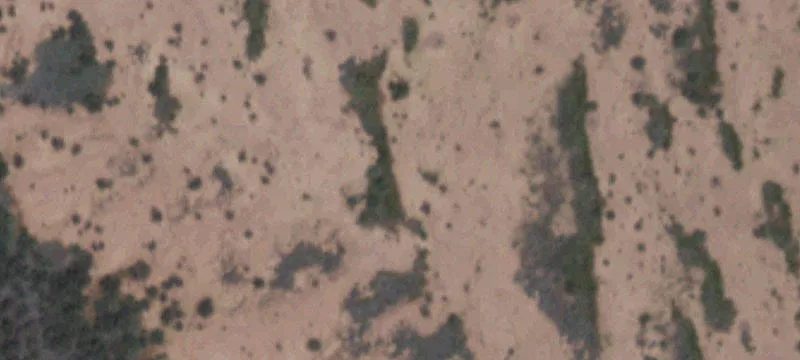 Valentine, TX 79854