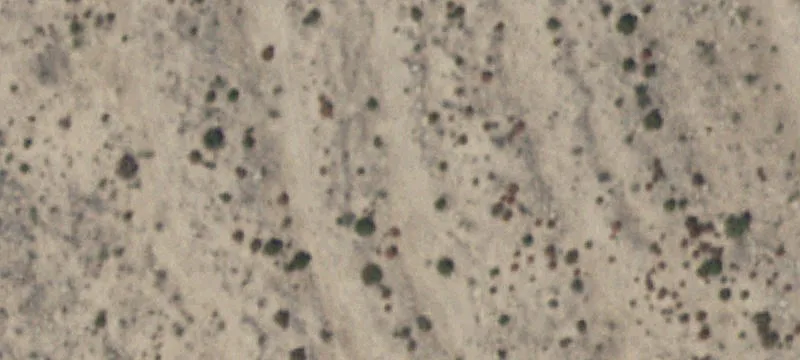 612 Us Hwy 67