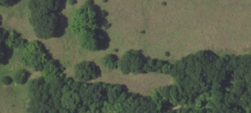 10702 Palestine Rd