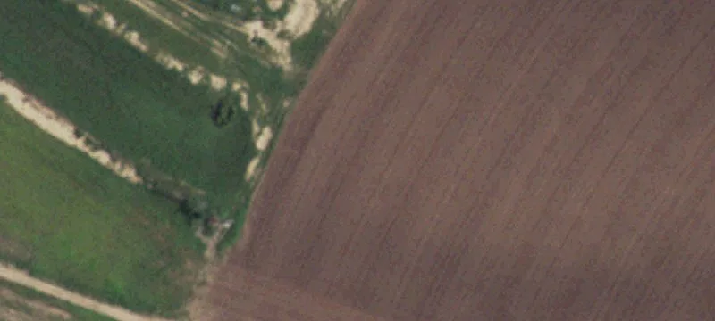 Friona, TX 79035