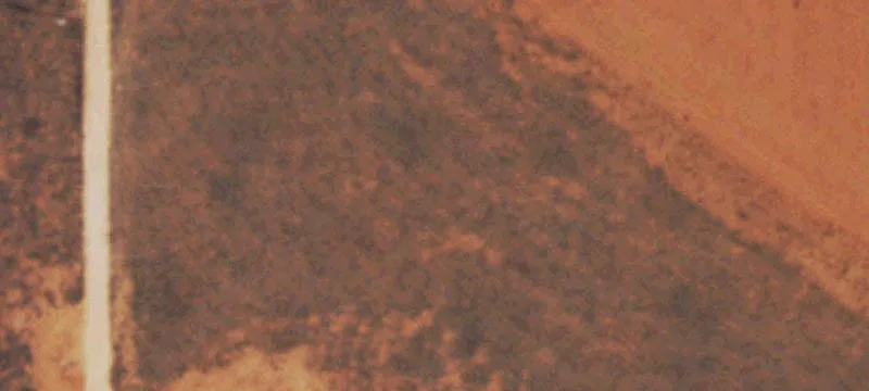 Plains, TX 79355