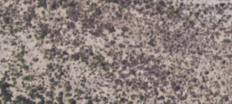 Sanderson, TX 79848