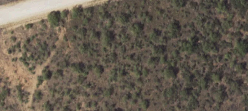 Stanton, TX 79782