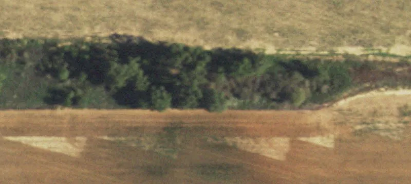 Quail, TX 79251