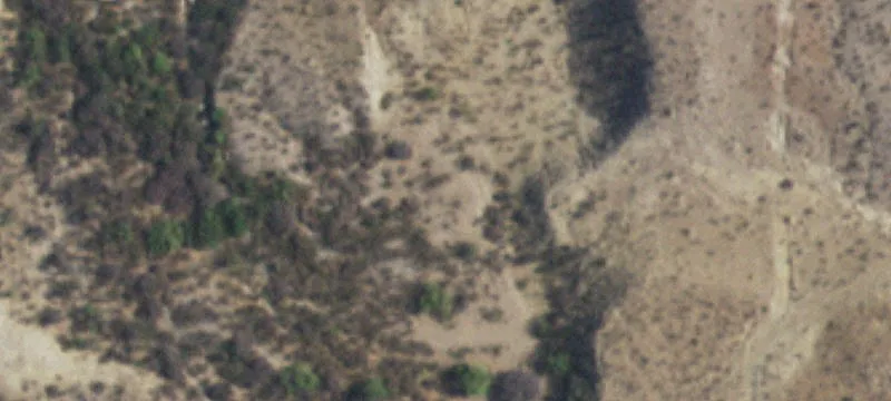 Valentine, TX 79854