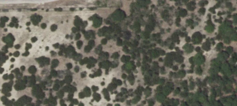 117 Us Hwy 84th E