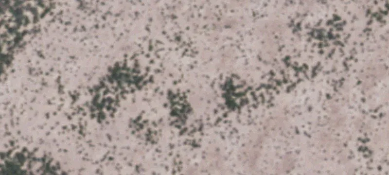 Presidio, TX 