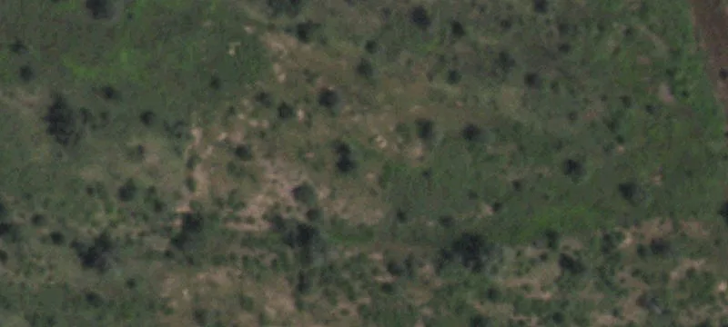 42563 State Hwy 118