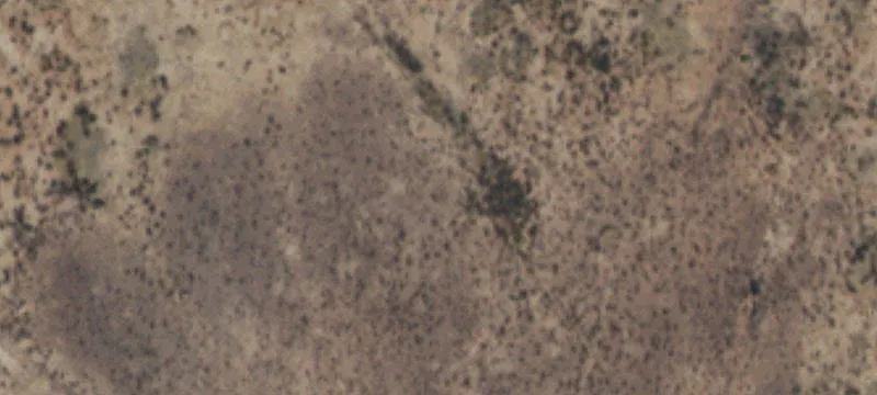 Valentine, TX 79854