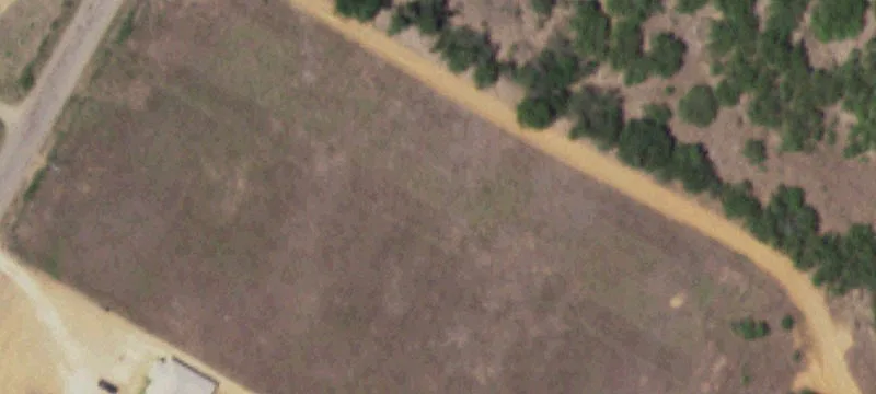 Charlotte, TX 78011