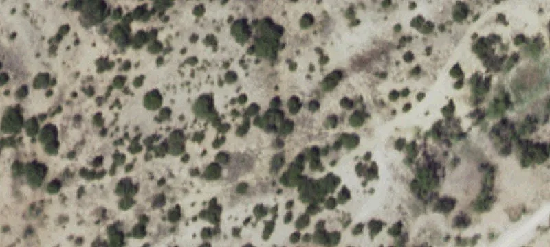 11088 Phillip Rd