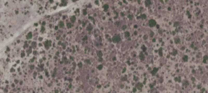 Tilden, TX 78072
