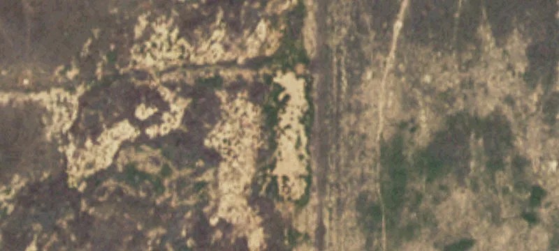 Dalhart, TX 79022